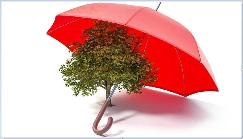 Red umbrella and green tree presents environment safety